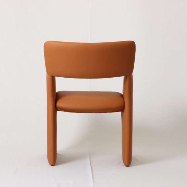 IMG_3895 IMG_3895